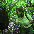 Dipl. Biol. Dr. Veronika Mayer, Autorin Stapfia 88/2008 - Der Pfad des Jaguars, Tropenstation La Gamba, Costa Rica.