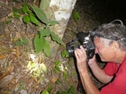 Erwin Holzer, Costa Rica 2018; Foto Erwin Holzer