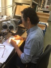 Marino Quaranta, Biologiezentrum im Juni 2018; Foto Fritz Gusenleitner 